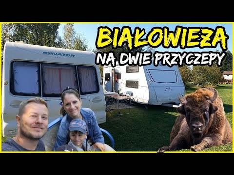 Weekend w BIAŁOWIEŻY -  Co Zobaczyć? Odkrywamy Puszczę Białowieską i jej tajemnice