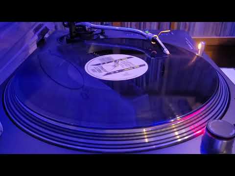 Don Pablo's Animals – Ibiza III