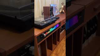 Download lagu Decibelvibe #audio accessory products - Audio graphic Equalizer model TNZ SGE6 #hifi #decibelvibe mp3 Download lagu Decibelvibe #audio accessory products - Audio graphic Equalizer model TNZ SGE6 #hifi #decibelvibe mp3