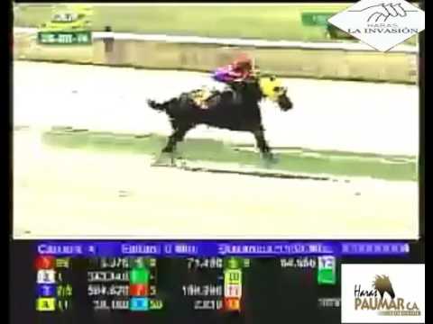 LA RINCONADA 4 CARRERA, DOMINGO 28 DE AGOSTO DEL 2016