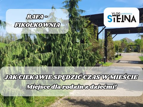 Rafa- Fikołkowania w Rydułtowach - sposób na spędzenie niedzielnego popołudnia //  Vlog Steina
