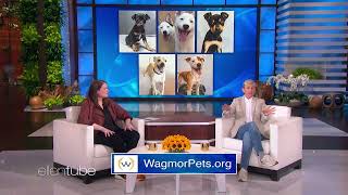 Wagmor Pets featured on The Ellen Show