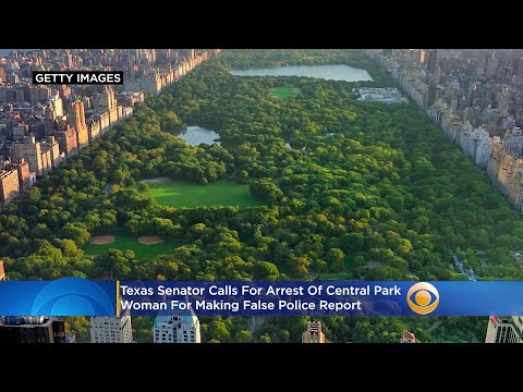 Texas Senator Calls For Arrest Of Central Park 'Karen' For Making False Report