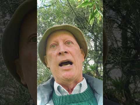 Torneo Futbol 5 Lucero de Cartagena, FIDES 50 años, Turbaco, Bolivar ​⁠@winsportstv  @canalrcn