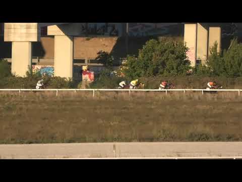 Trka "Pehar Hipodroma Beograd - BRC" 03.10.2021 First Thought - Aleksandar Šašić