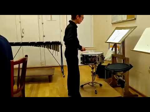 G. Bomhof. The Bit is On. Исполняет Михаил Типисев.