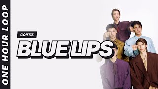 Download lagu CORTIS - Blue Lips [One hour loop] mp3