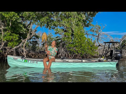 Exploring A New Island | Spearing The Mangroves | CCC
