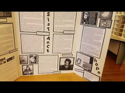 A grade Trifold Board Examples