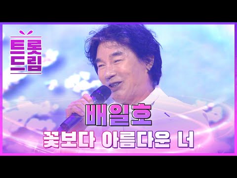 힘차고 흥겨운 음색! 배일호의 ’꽃보다 아름다운 너’ l 트롯드림
