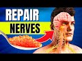 10 Foods That Can Miraculously Heal Nerve Damage