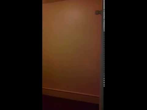 Beautiful 1 Bedroom Apartment off Atwells Ave in Providence, RI