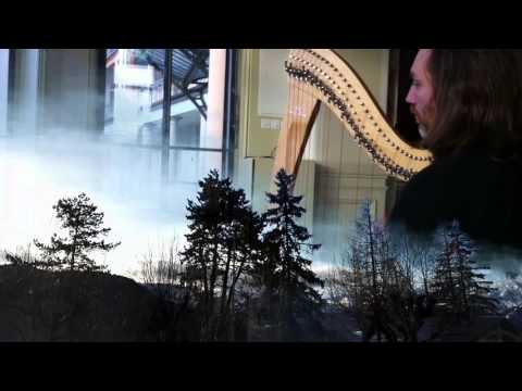 Moonlight Sonata / Francois Pernel harp