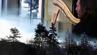 Moonlight Sonata / Francois Pernel harp