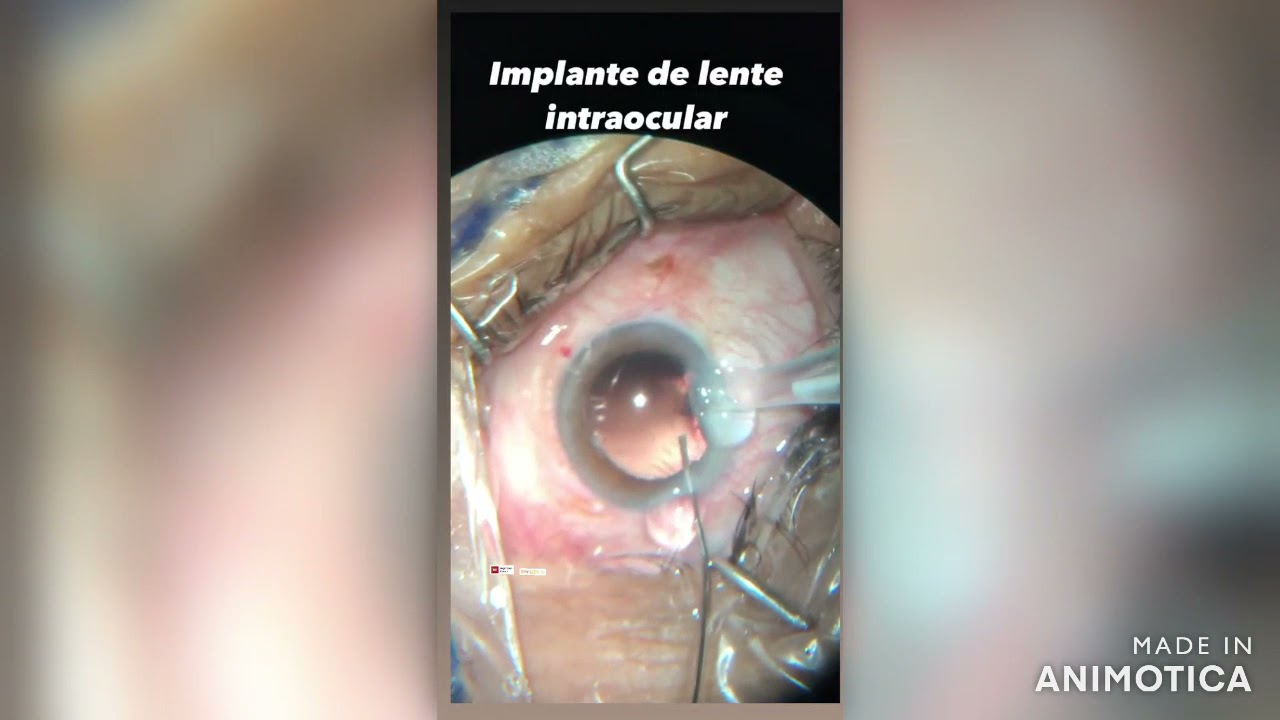 Pablo César Sato Gastélum-12