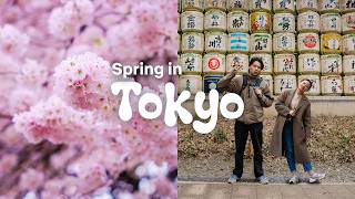 4 Days in Tokyo - Cherry Blossom in Japan (Spring)
