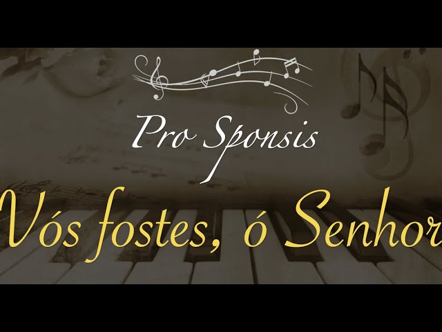 Preview do vídeo