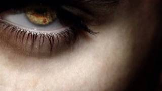 In My Dreams - Blutengel