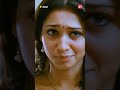 Suriya S Romantic Mood Ayan Suriya Shorts
