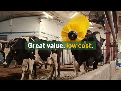 EasySwing Cattle Brushes - Daviesway