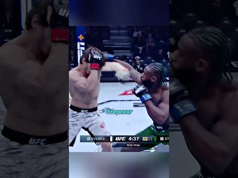 Вот как Евлоев закрыл правый удар #ufc #mma #iliatopuria #хабиб #исламмахачев #евлоев #mcgregor