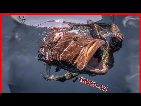 84ft - Freediving | The Biggest Fish I've Ever Speared