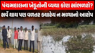 રાજ્ય સરકારના સહાય પેકેજ સામે Panchmahal ના ખેડૂતોએ કેમ ઠાલવી વ્યથા?