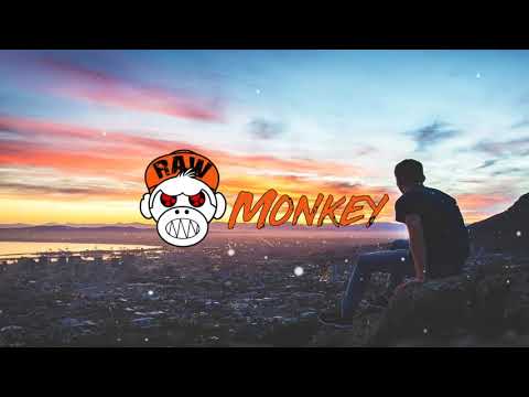 Psyfiix - Purgatory (PREMIERE) (PSY TRANCE HARD) [MONKEY TEMPO]
