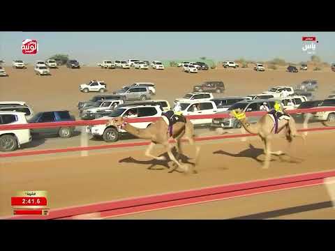 ش 1 (انجاز) لـ حمد مصبح بن عبيد علي الكيبالي 3:02:30 ، شارة العقود 2026/05/24 السوان