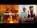 Pasoori X Habibi Mashup Lyrics Feel Ali Sethi X Shae Gill Coke Studio