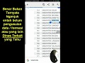 MENGUAK DATA K2 NGANJUK TIDAK BISA DITEMUKAN DI PORTAL Ssp3k Bkn Go Id