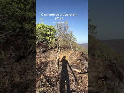 O mirante do urubu rei , Pedro ll /pi