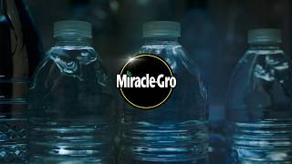 Miracle-Gro 🌱 “Stop Starving Your Plants!” — Miracle‑Gro