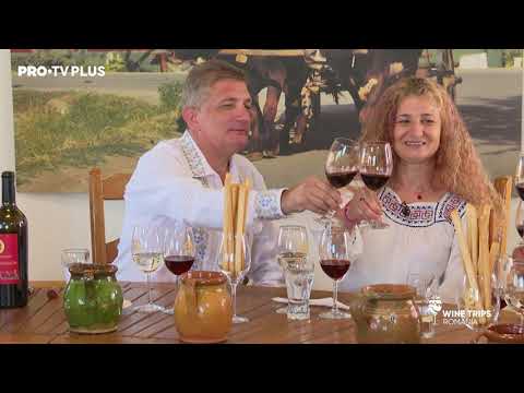 Wine Trips Romania 🍷 – Ep.6 Povestea Cramei Oprișor