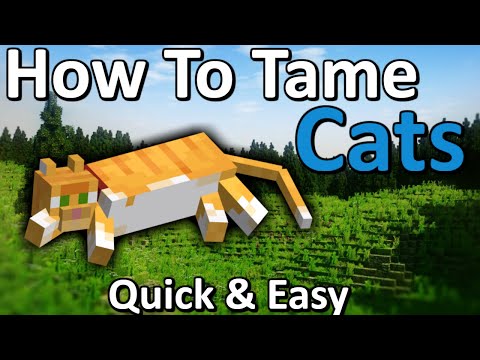 Master the Art of Taming Cats in Minecraft! Quick & Easy!