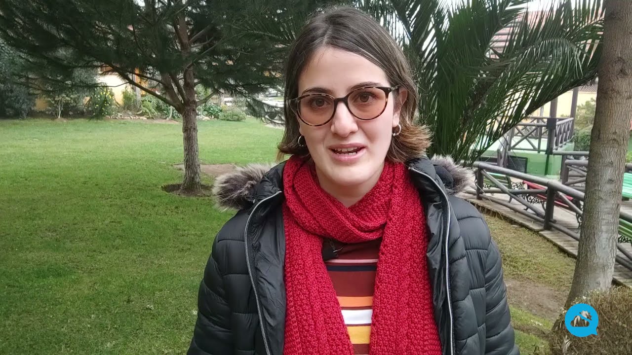 youtube video id=53jDuAY9K5A