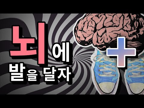 뇌 건강: 뇌에 발을 달자?! | 카오스 브레인 오디세이