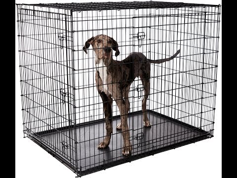 Frisco xx large heavy duty double door dog crate, 54 in