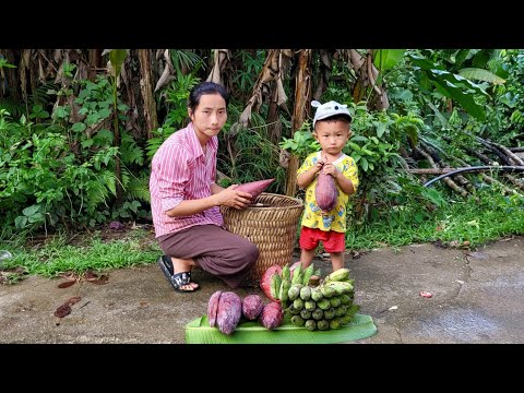 single mother, 17 years old today mother and daughter went to pick bananas to sell, Ly Tieu Anh