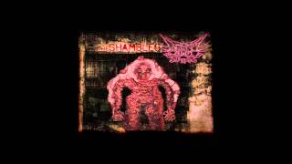 Deformed Elephant Surgery - Anthropophagic Vivisectional Evagination [brutal death metal/deathcore]