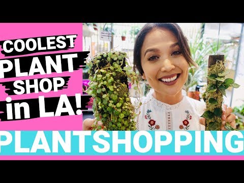 The COOLEST Plant Shop in LA! | Plant Shopping in LA!