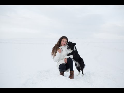 Our agility evolution video