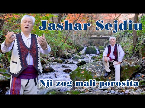 Jashar Sejdiu  - Nji zog mali porosita (Official Video)