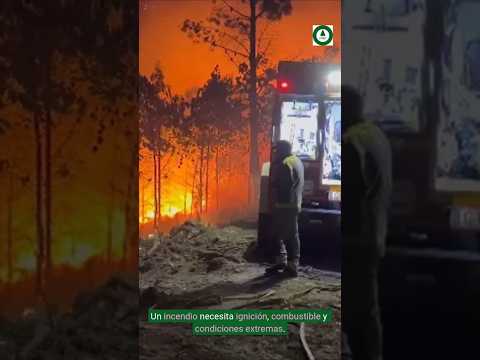 Fin de semana negro en Galicia: los incendios forestales dejan más de 1.300 hectáreas calcinadas