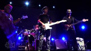 Los Lobos - I Got Loaded  (Live in Sydney) | Moshcam