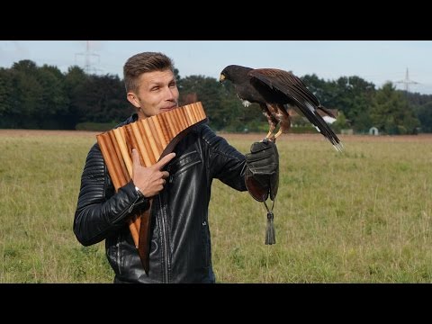 El cóndor pasa – David Döring Panflöte | Pan flute | Panpipe | Flauta de Pan