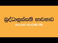 බුද්ධානුස්සති භාවනාව Buddhanussathi Bawanawa Nauyane Ariyadham