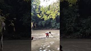 Download lagu A Log Stuck Between River Rocks mp3