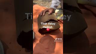 Download lagu Tirah chars mandi biggest hash market in the world 🌎 #hashish #afghan #usa #canada #cannabis #shorts mp3 Download lagu Tirah chars mandi biggest hash market in the world 🌎 #hashish #afghan #usa #canada #cannabis #shorts mp3
