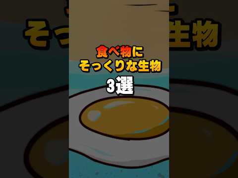 食べ物にそっくりな生物3選#雑学#デカボ#ビットスターアニメ